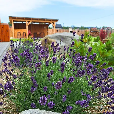 Szczyt Beztroski Jacuzzi & Sauna Chalet Nowy Targ